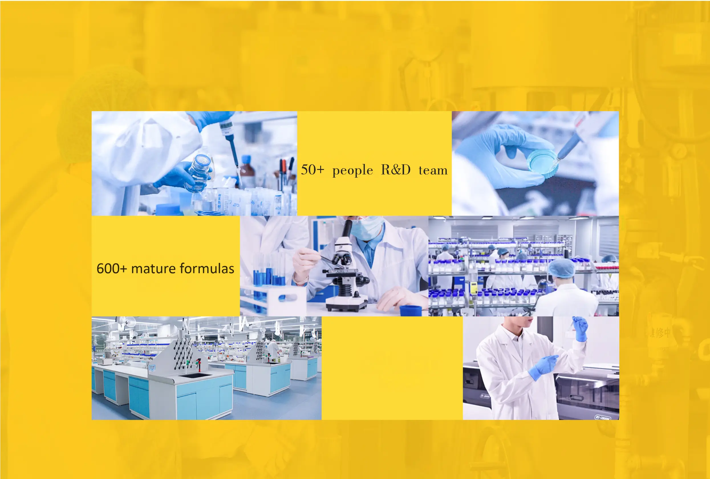  Manufacturing Facility